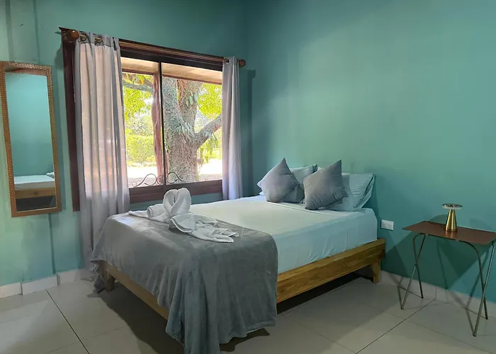 Casas Diti *